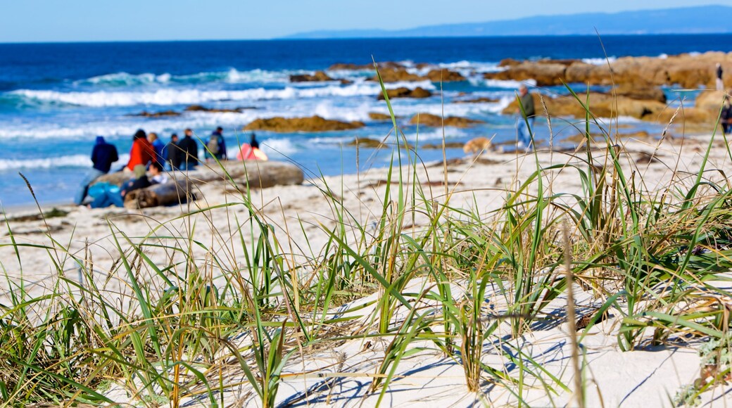 Asilomar State Beach featuring general coastal views, a beach and landscape views