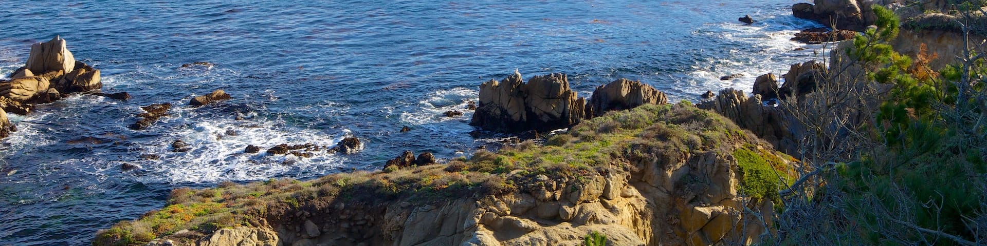 Point Lobos State Reserve mostrando vistas generales de la costa, vistas de paisajes y una bahía o puerto