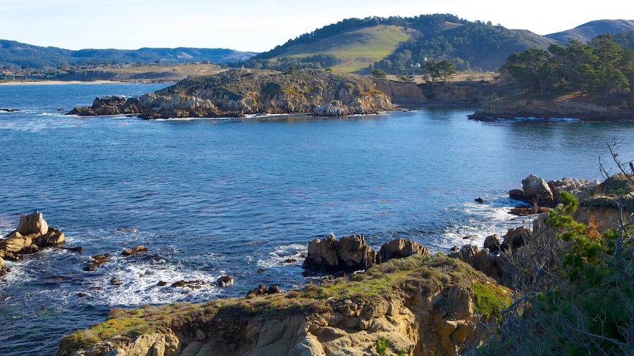 Point Lobos State Reserve showing general coastal views, a bay or harbor and landscape views