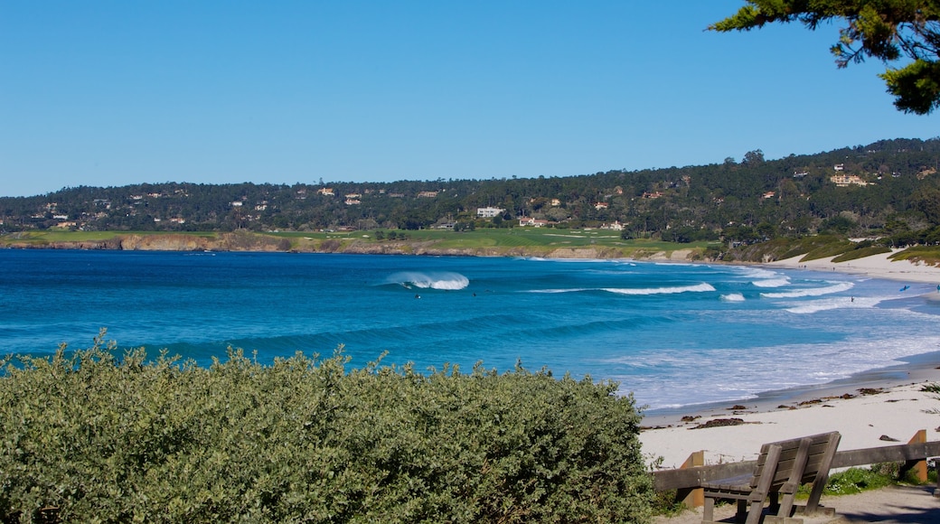 Central Coast California featuring a sandy beach and general coastal views