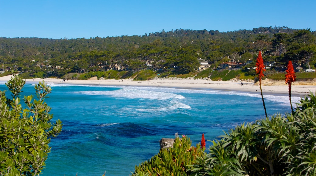 Carmel Beach which includes landscape views, a beach and general coastal views