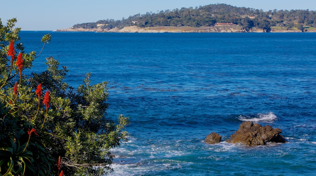 Carmel Beach showing a sandy beach, general coastal views and rugged coastline