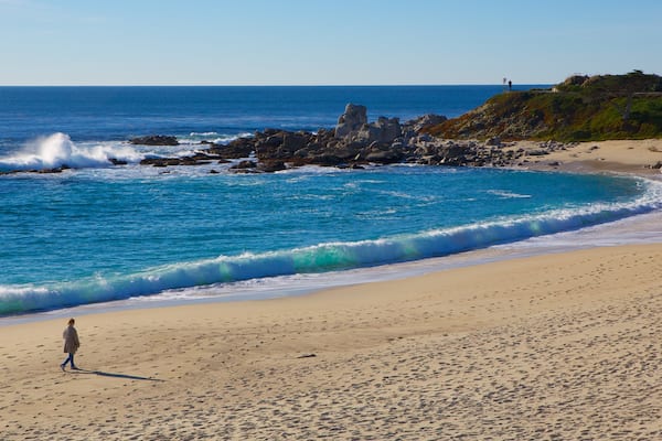 Carmel Beach which includes landscape views and a beach as well as an individual female