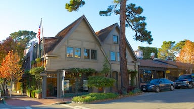 Carmel showing a house and autumn leaves