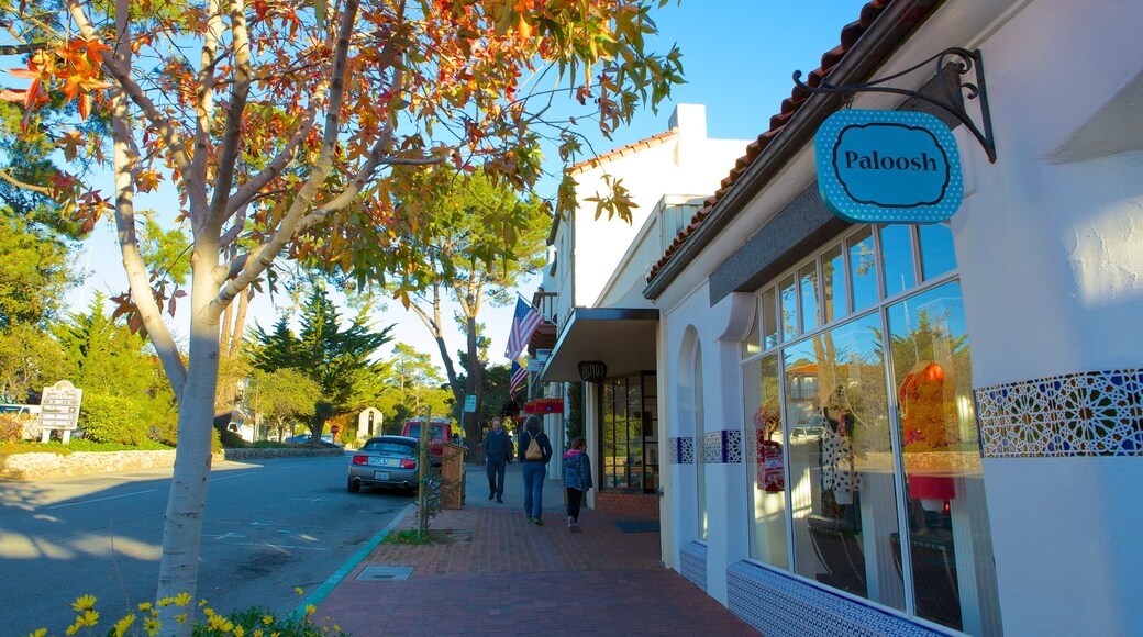 Carmel featuring street scenes, autumn leaves and shopping