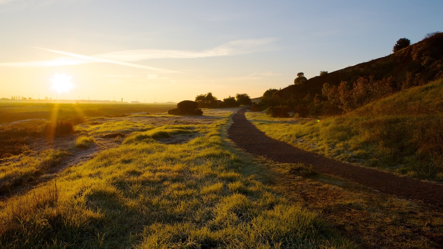 Don Edwards San Francisco Bay National Wildlife Refuge which includes landscape views, a sandy beach and a sunset
