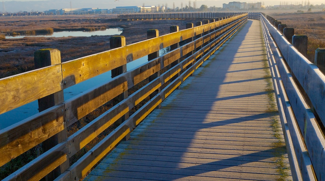 Don Edwards San Francisco Bay National Wildlife Refuge showing a bridge, a bay or harbour and wetlands