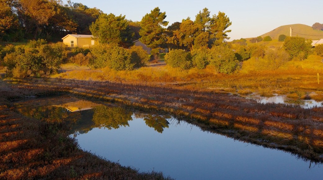 Don Edwards San Francisco Bay National Wildlife Refuge welches beinhaltet ruhige Szenerie, Landschaften und Fluss oder Bach