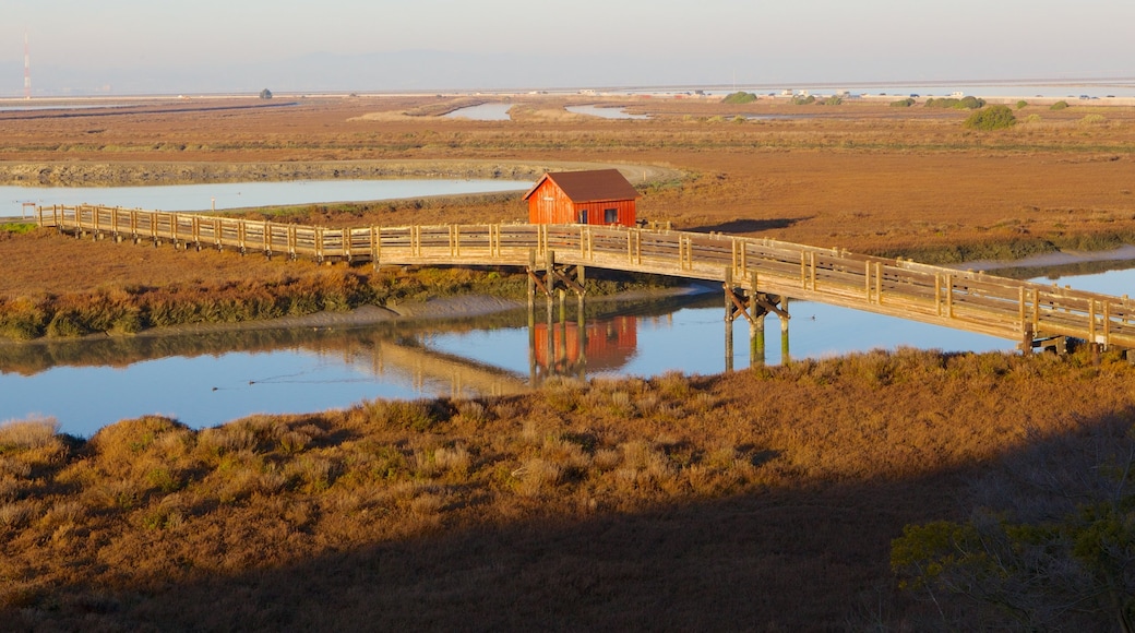 Don Edwards San Francisco Bay National Wildlife Refuge inclusief vredige uitzichten, een brug en landschappen