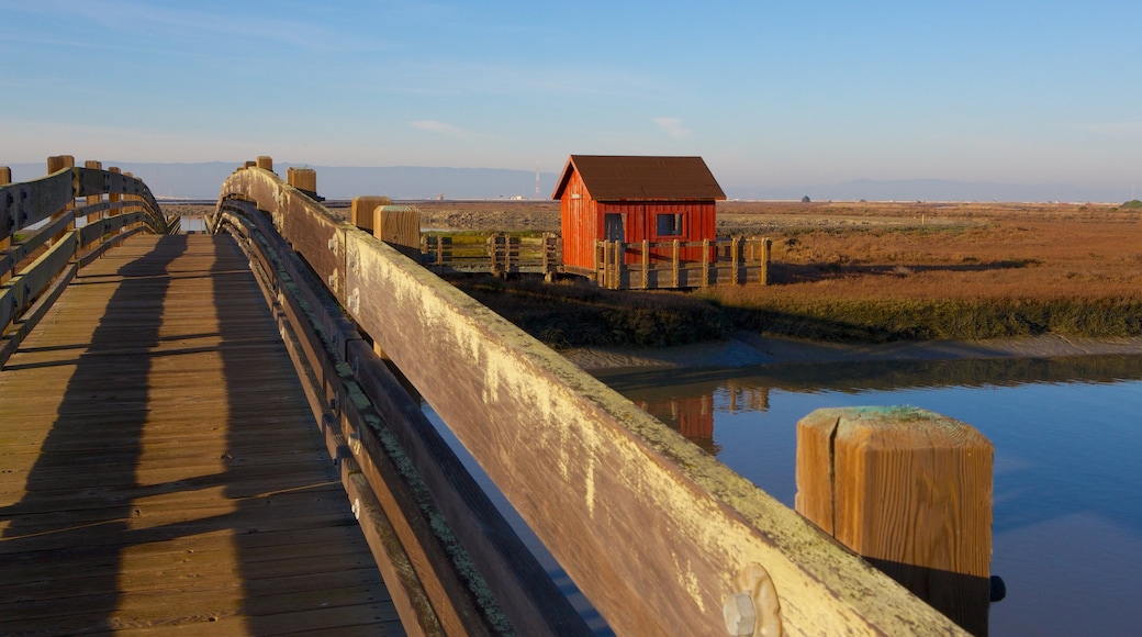 Don Edwards San Francisco Bay National Wildlife Refuge showing a bridge and a river or creek