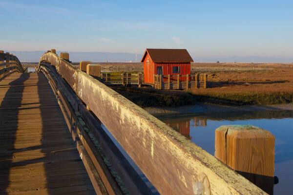 Don Edwards San Francisco Bay National Wildlife Refuge qui includes pont et rivière ou ruisseau