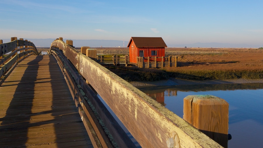 Don Edwards San Francisco Bay National Wildlife Refuge caratteristiche di ponte e fiume o ruscello