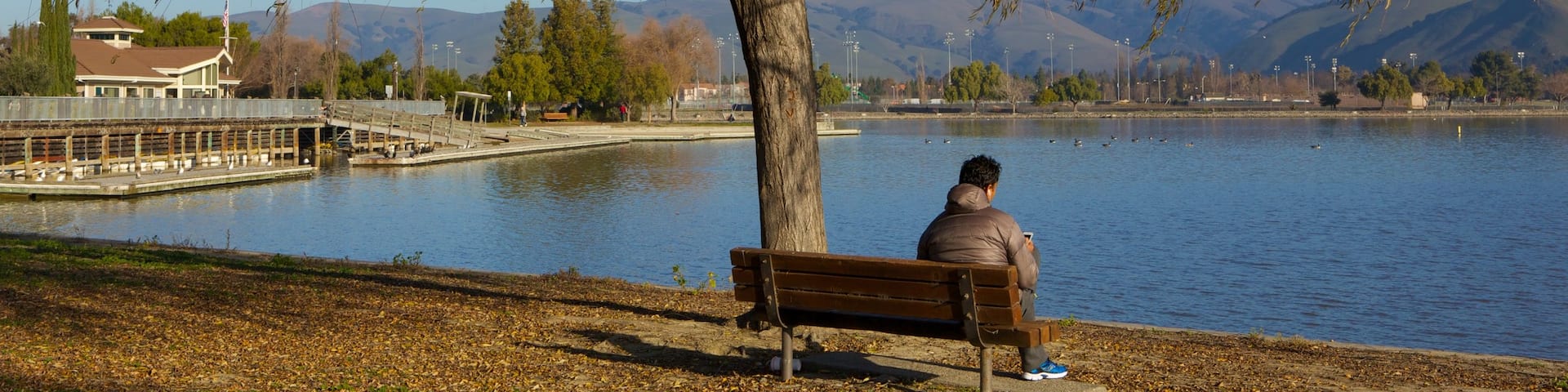 Fremont Central Park showing a garden, landscape views and a lake or waterhole