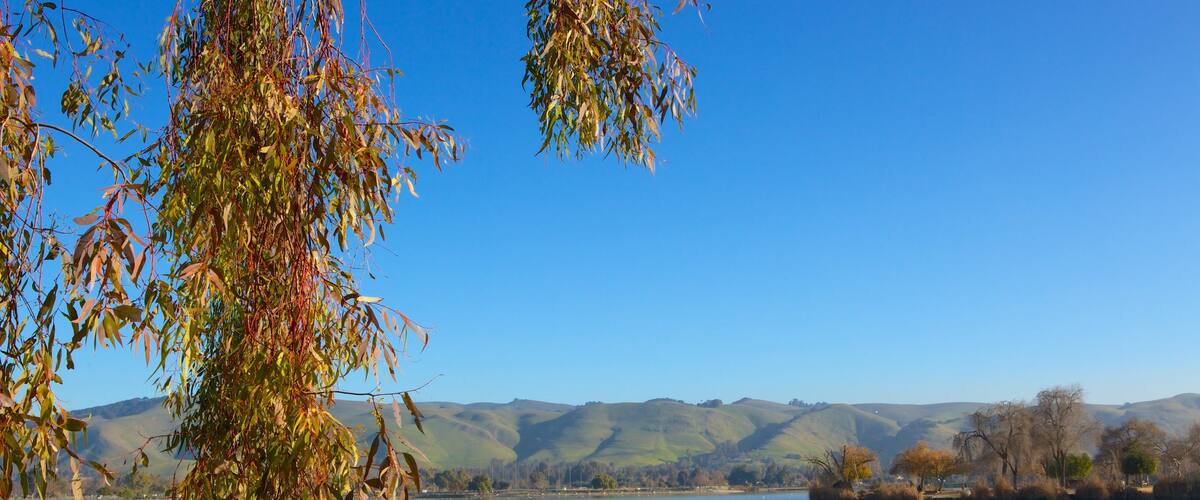 ํ๋ ๋ชฌํธ ์ผํธ๋ด ํํฌ ์ ๋ณด์ฌ์ฃผ๋ ๊ฐ์ ์๊ฐ, ํ์ ํ ํ๊ฒฝ ๊ณผ ํ๊ฒฝ