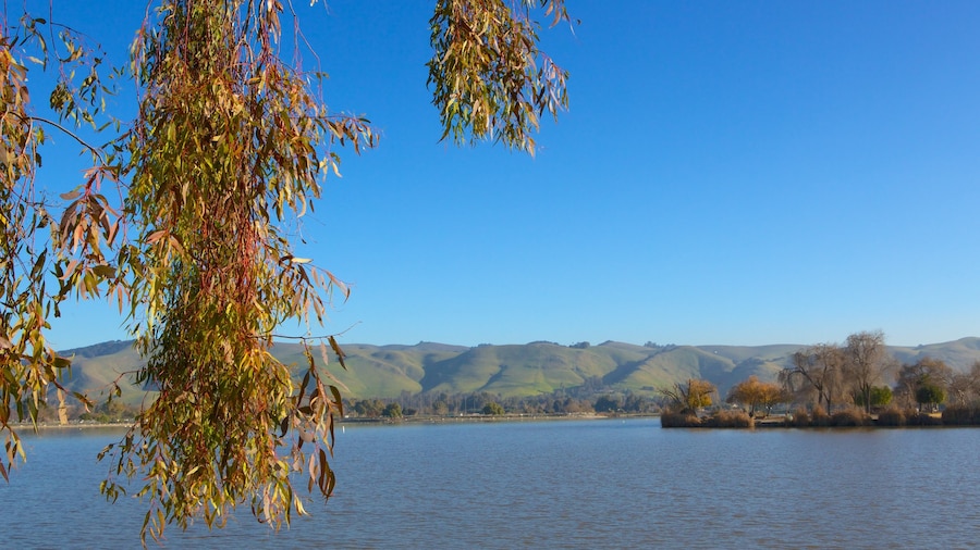 Fremont Central Park which includes landscape views, autumn colours and a lake or waterhole