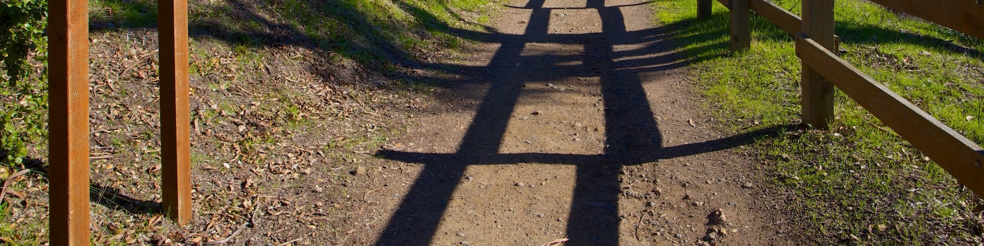 Alum Rock Park which includes mountains and landscape views