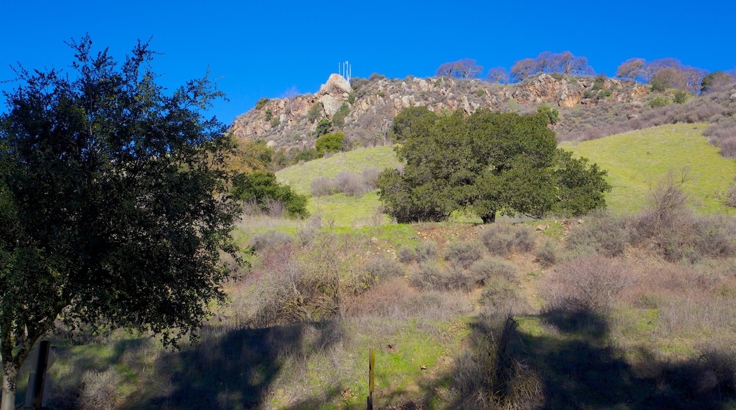 Alum Rock Park que inclui paisagem