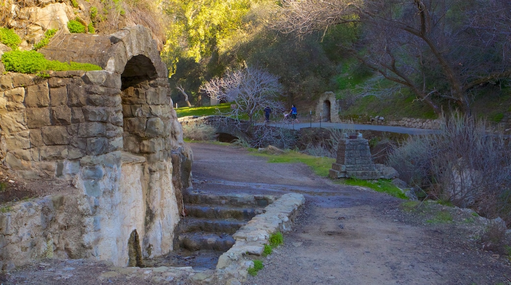 Parque Alum Rock mostrando vistas de paisajes, ruinas de edificios y un parque