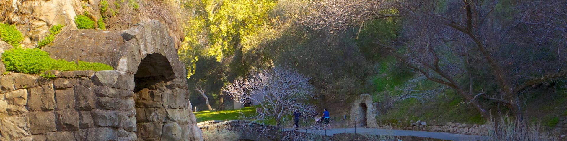 Alum Rock Park which includes building ruins, a garden and landscape views
