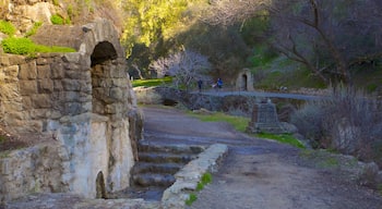 Alum Rock Park som viser udsigt over landskaber, en have og en ruin