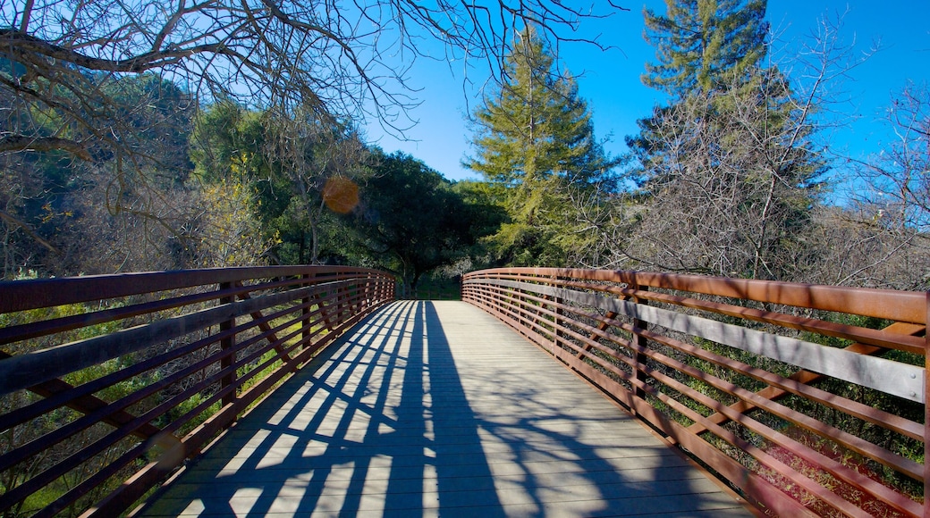 Alum Rock Park mostrando ponte, foresta e giardino