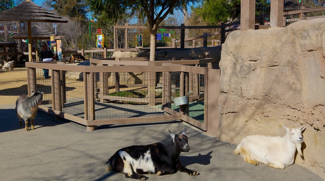 Happy Hollow Park and Zoo