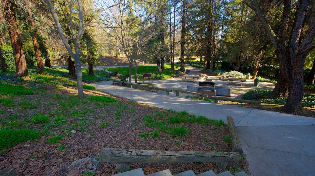 Kelley Park featuring forest scenes and a park