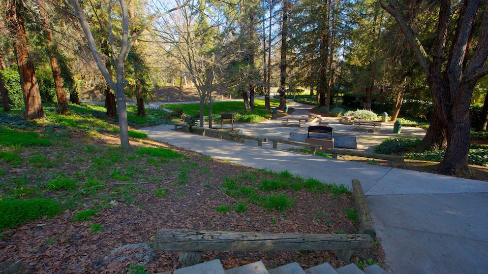 Kelley Park showing a garden and forest scenes