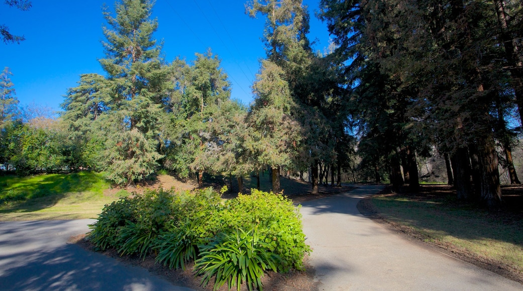 Kelley Park som inkluderar en park, stillsam natur och landskap