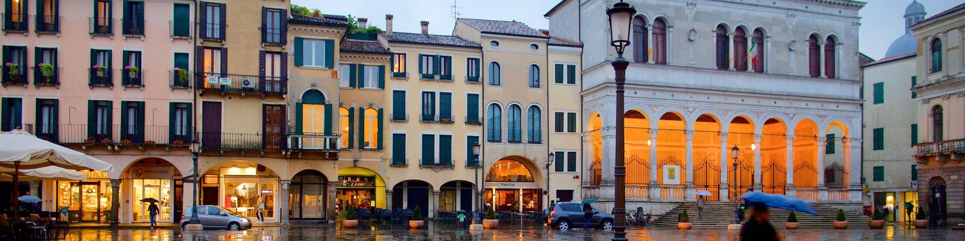 Piazza dei Signori featuring a square or plaza, heritage elements and a city