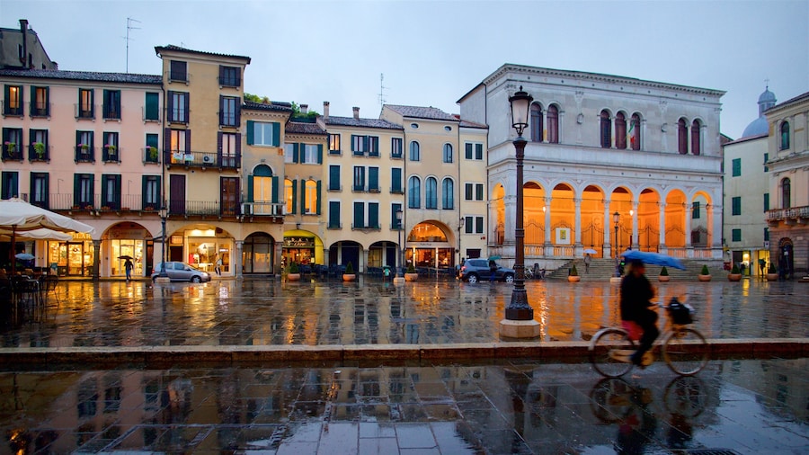 Piazza dei Signori toont een plein, een stad en historisch erfgoed