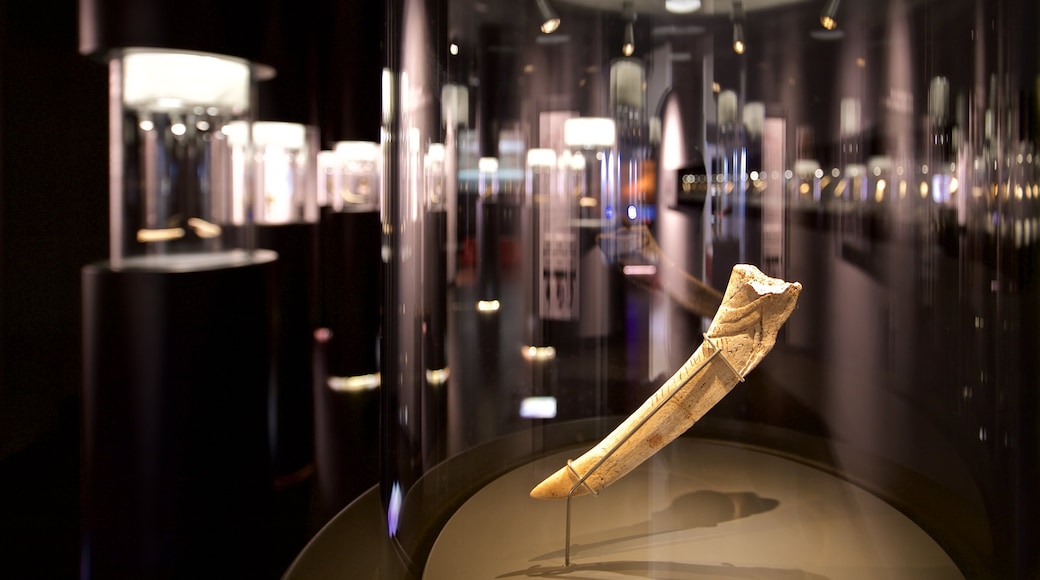 Museo de Prehistoria y Arqueologia de Cantabria que inclui vistas internas