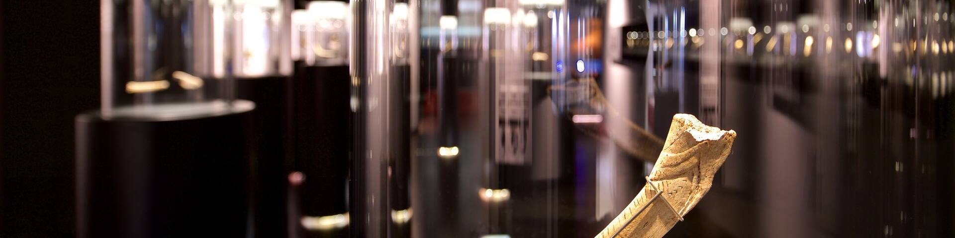 Museum of Prehistory and Archaeology of Cantabria featuring interior views