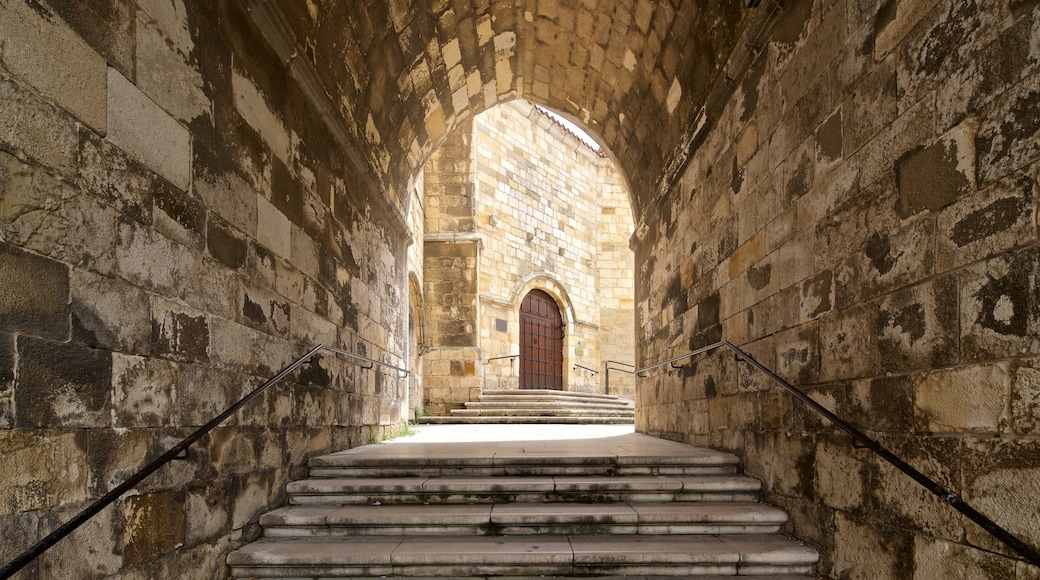 Cattedrale di Santander caratteristiche di vista interna