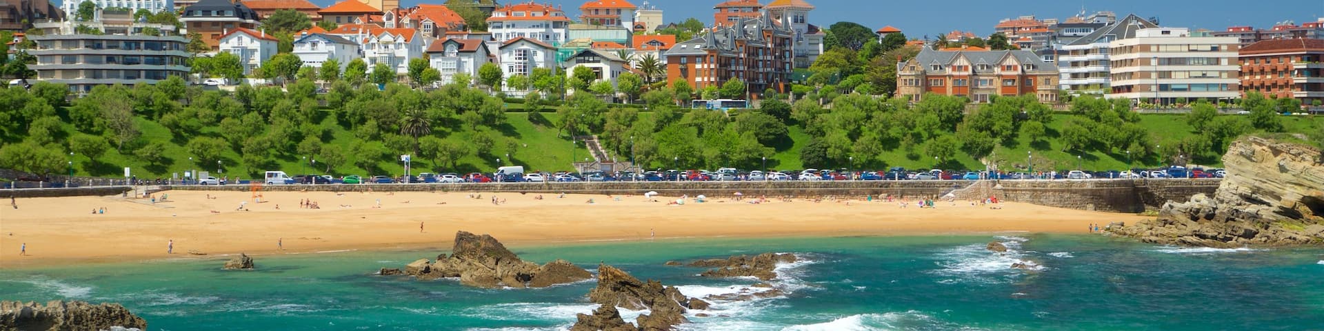 エル サルディネロ ビーチ どの含み 砂浜, 荒々しい海岸線 と 海岸線の眺め