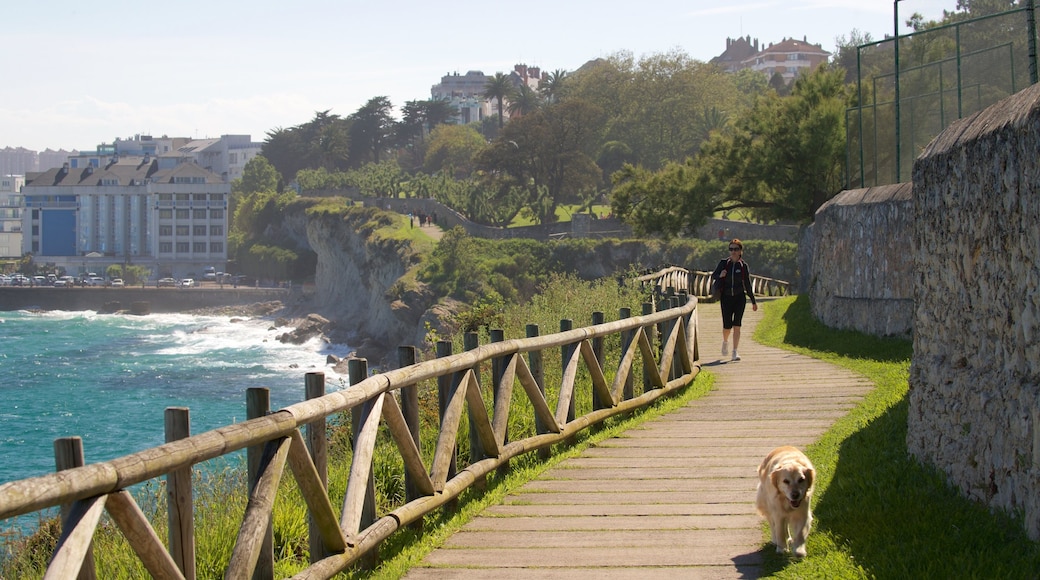 Parque de Mataleñas mostrando costa escarpada, una ciudad costera y caminatas