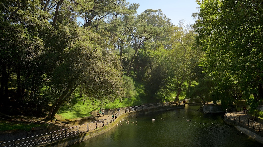 Parque de Mataleñas das einen Fluss oder Bach und Garten