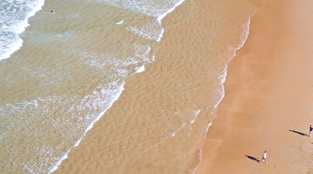 Santander inclusief een strand en algemene kustgezichten