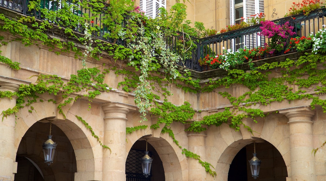 Plaza Nueva que incluye flores