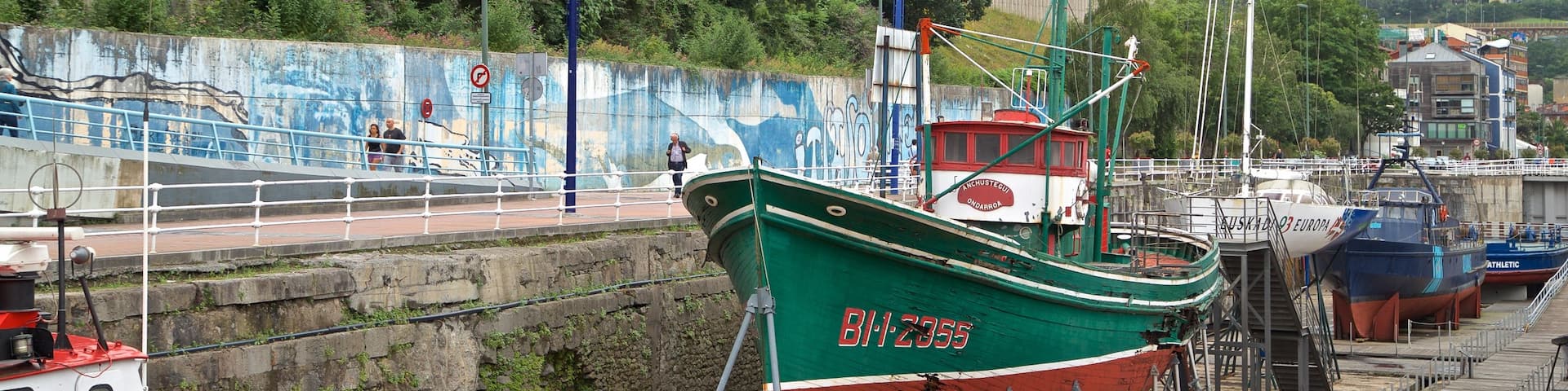 Maritime Museum showing a marina