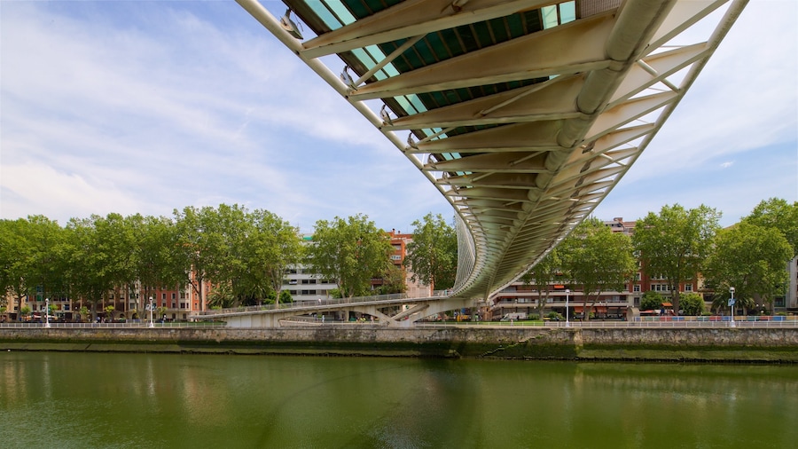 Puente Zubizuri mostrando un puente y un río o arroyo