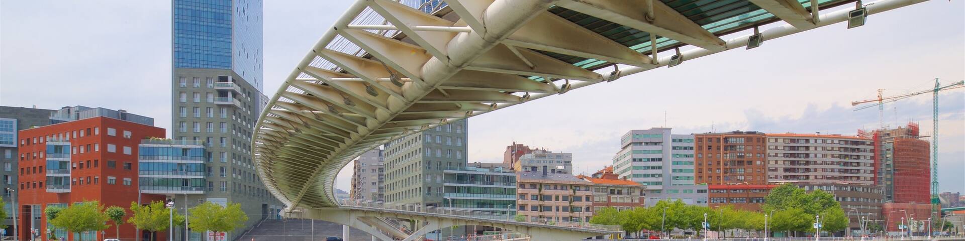Zubizuri Bridge which includes a river or creek, a skyscraper and a city