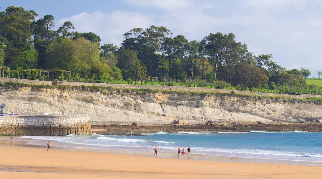 Playa del Camello mostrando litoral accidentado, una playa de arena y vistas de una costa