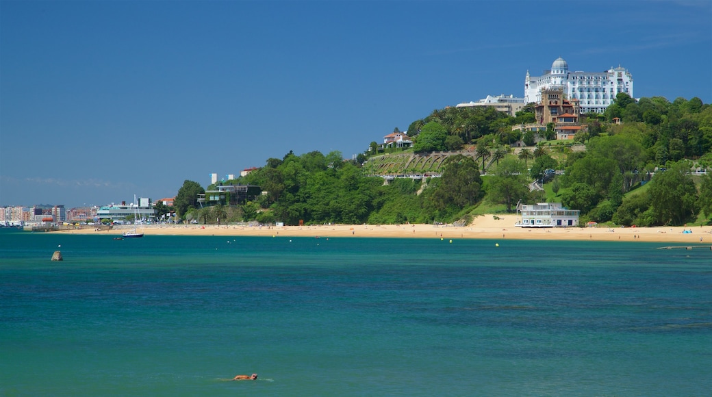 Playa de la Magdalena ofreciendo una playa de arena, una localidad costera y vistas de una costa