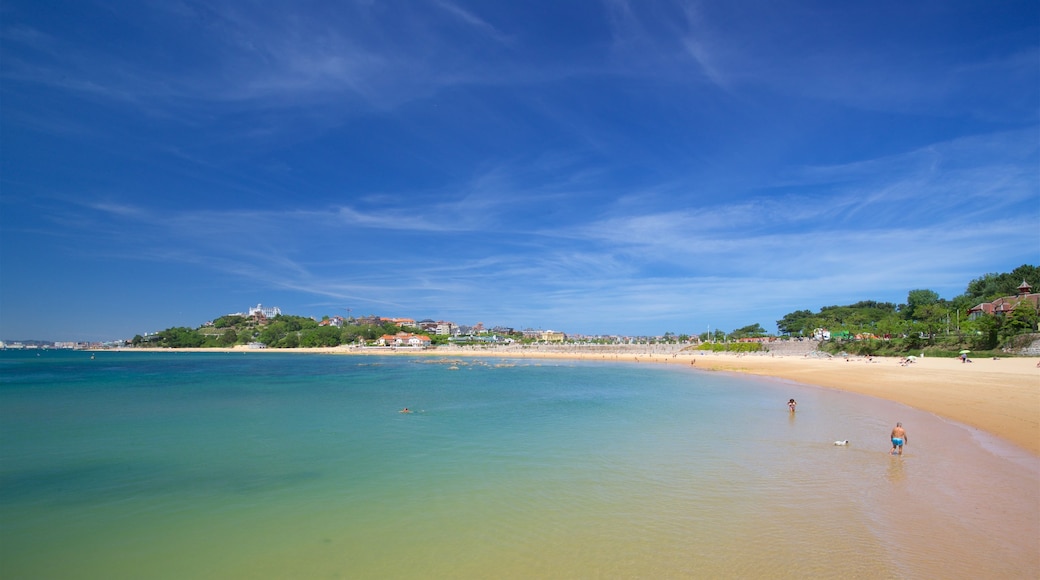 Playa de la Magdalena mostrando vistas generales de la costa, una playa de arena y natación