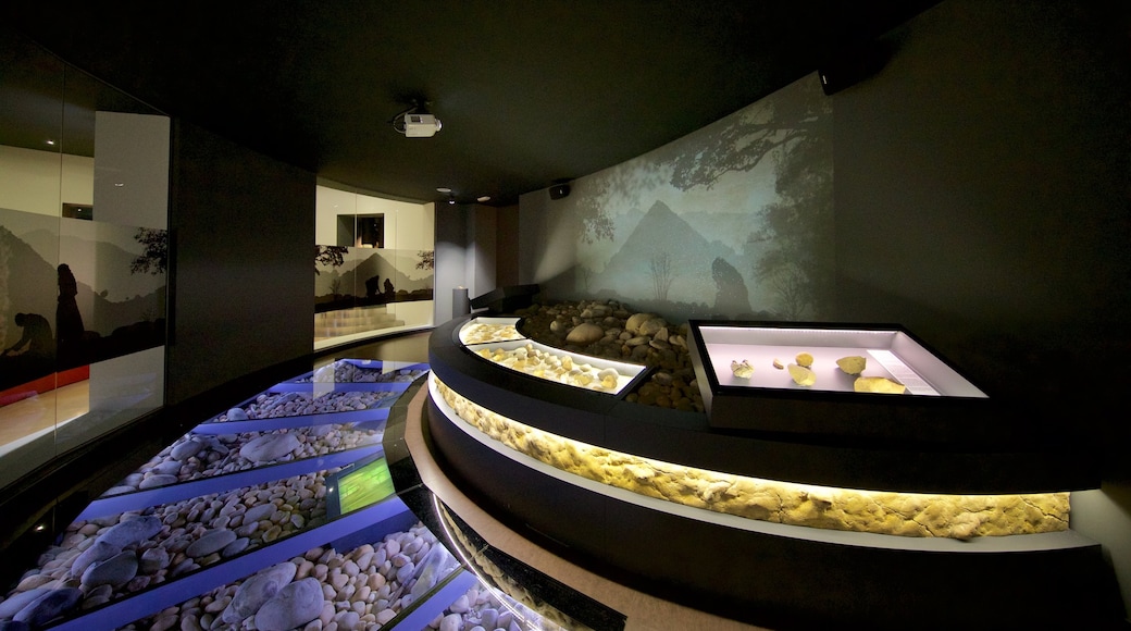 Museum of Prehistory and Archaeology of Cantabria featuring interior views