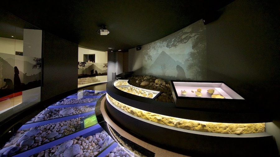 Museum of Prehistory and Archaeology of Cantabria which includes interior views