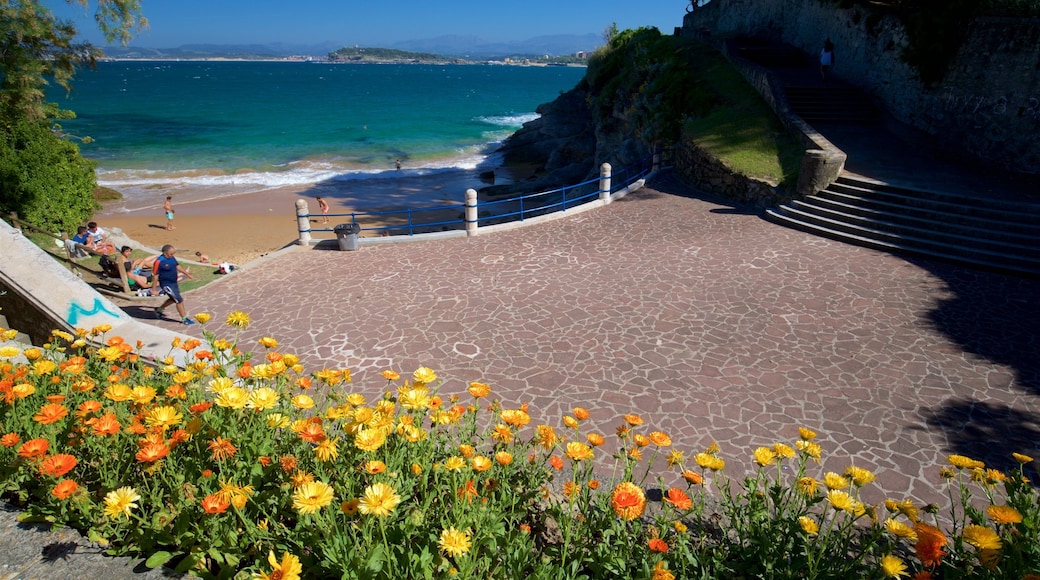 Parque de Mataleñas mostrando vista della costa e fiori di campo