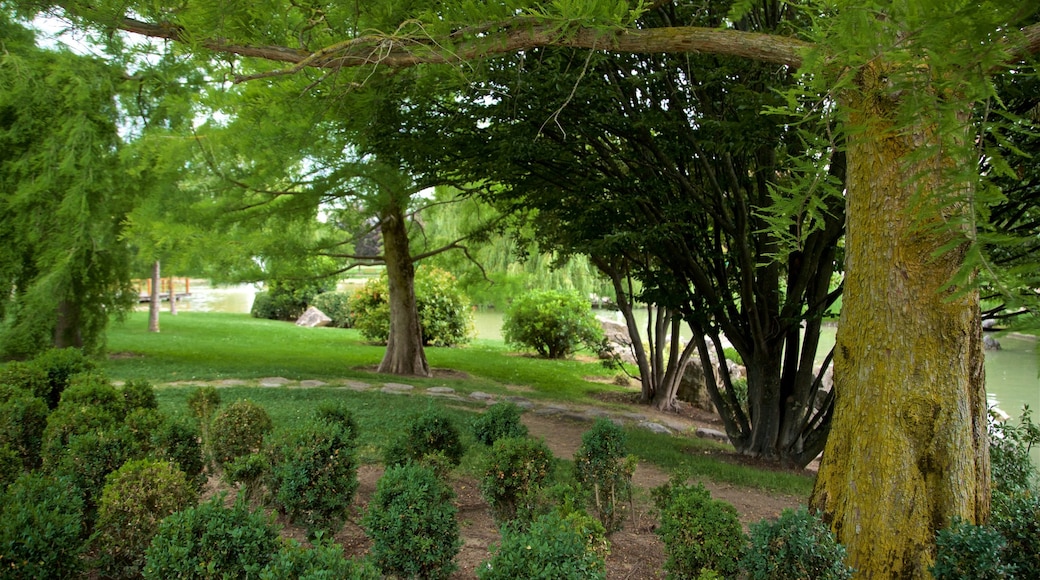 Parque Yamaguchi inclusief een park