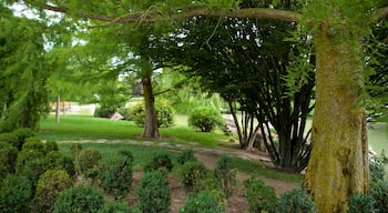 Yamaguchi Park featuring a garden